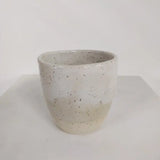 LIGHT + Vessel COASTAL Cup LIGHT + Vessel
